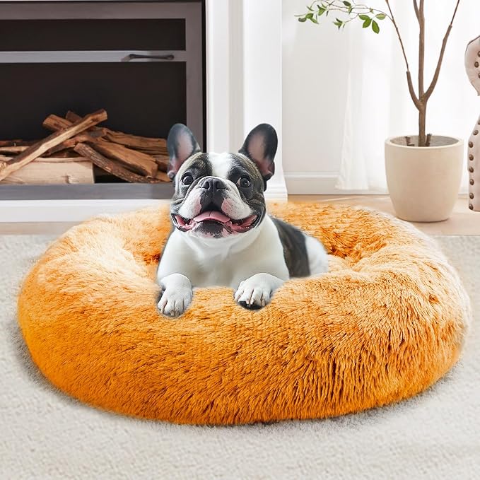 JOLLYVOGUE Calming Dog Bed Large Size Dog, Anti-Anxiety Donut Large Pet Bed by JOLLYVOGUE