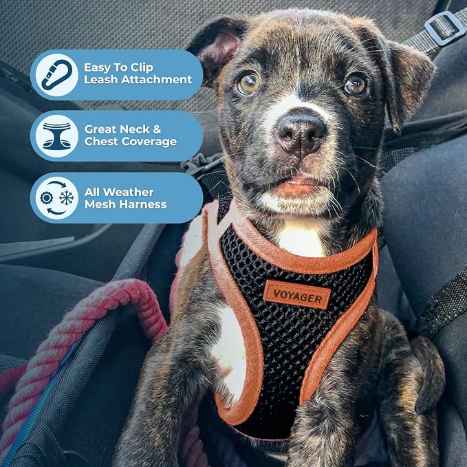 Best Pet Supplies Voyager Step-in Air All Weather Mesh Harness and Reflective - Image 5