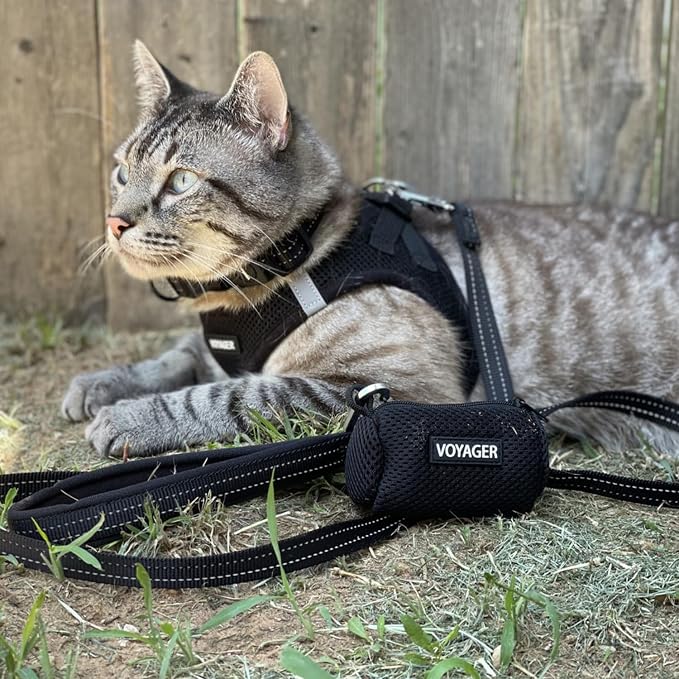 Best Pet Supplies Voyager Step-in Air All Weather Mesh Harness and Reflective - Image 8