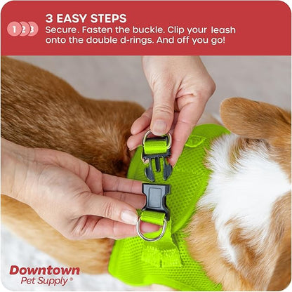 Downtown Pet Supply Step-in Dog Harness – No Pull, Adjustable Padded Mesh - Image 5