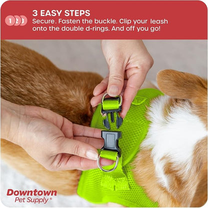 Downtown Pet Supply Step in Dog Harness - Image 5