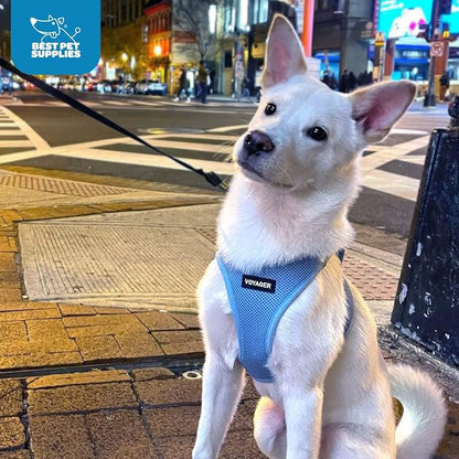 Best Pet Supplies Voyager Step-in Air Harness - Image 10