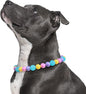 Beaded Dog Necklace Collar, Adjustable Jewelry-Inspired Design by JOGIA
