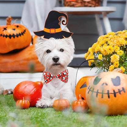 Halloween Dog Collar, Holiday Adjustable Ghost Skull Collar - Image 4