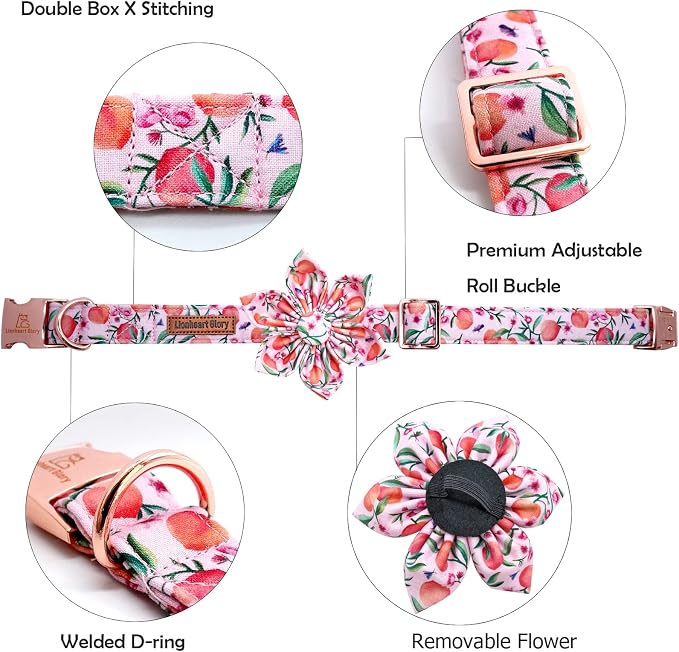 Lionheart Glory Pink Peach Flower Dog Collar - Image 2