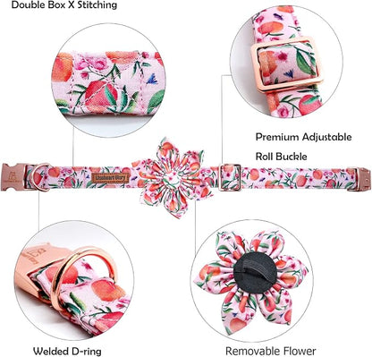 Lionheart glory Dog Collar - Image 2