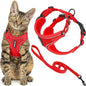 Voyager Escape-Proof Step-in Lock Cat Harness & 5ft Neoprene-Handle Leash Set by BestPetSuppliesLLC