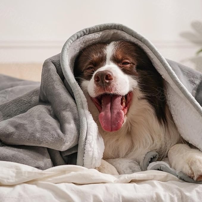 gogobunny Waterproof Bed Blanket, Reversible Sherpa Fleece Throw Blanket - Image 4