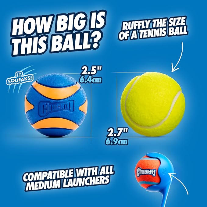 Chuckit! Ultra & Squeaker Ball Dog Toy - Image 5