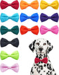 PET SHOW 12 Pack Plain Large Dogs Collar Embellishment Attachment Bow Ties by PETSHOW