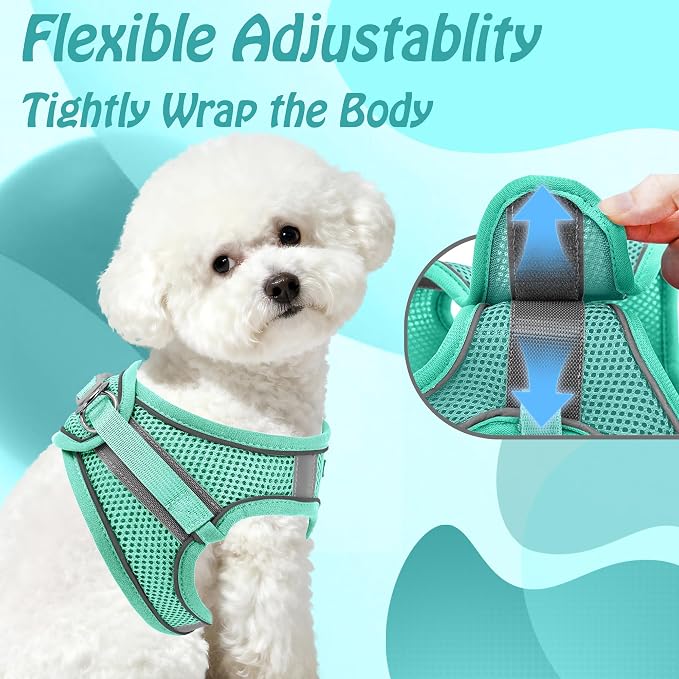 AIITLE No Pull Dog Harness and Leash Set, Step in Adjustable Dog Harness - Image 3