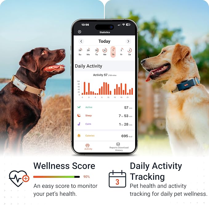 PAJ GPS Dog Tracker - 4G Real-Time Tracking & Runaway Alerts - Waterproof - Image 4