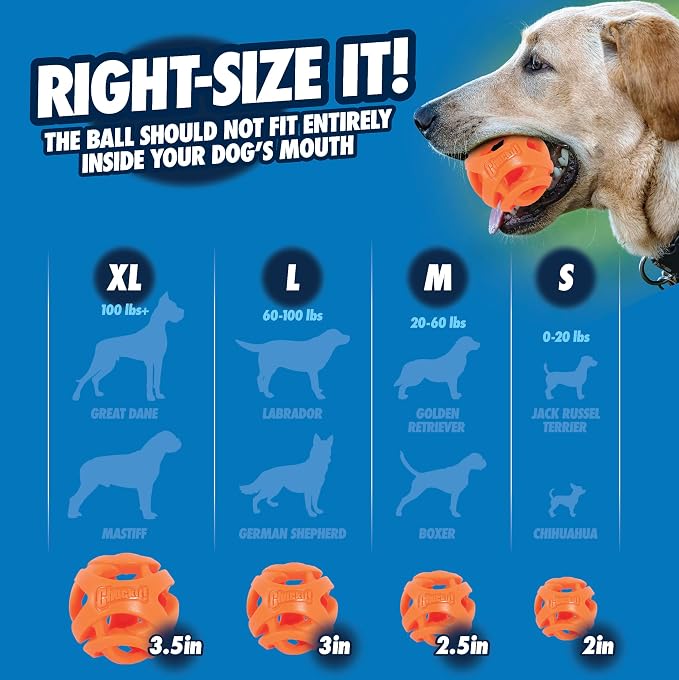Chuckit! Air Fetch Ball Dog Toy, - Image 3