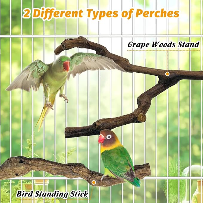 kathson 3pcs Natural Parrot Perch - Image 4
