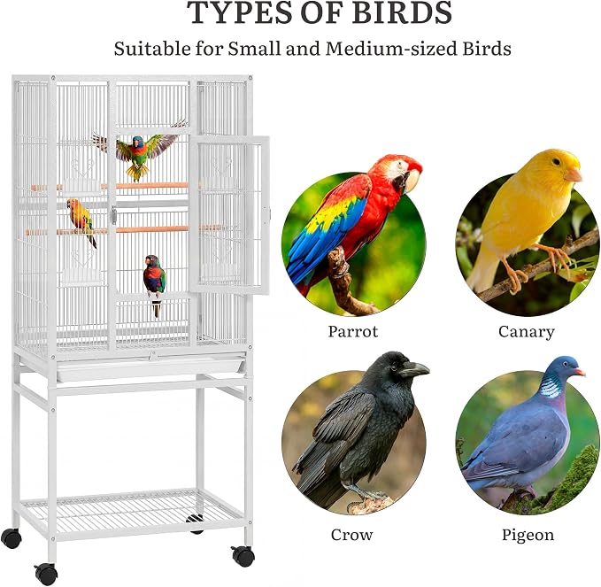 DWVO 53.9-Inch Metal Bird Cage: Large Parrot Cages - Image 3