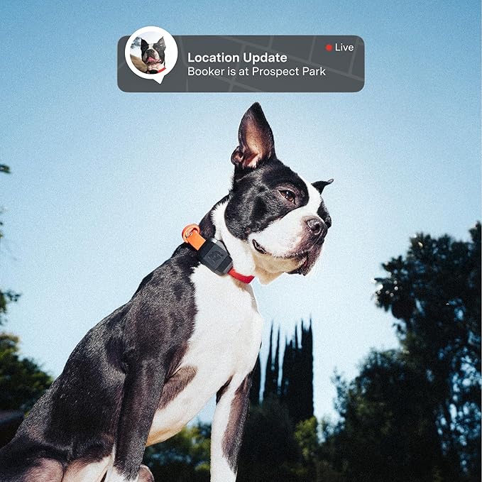 Fi Mini GPS Tracker for Dogs — 6-Month Membership Included — Smart Pet Tracking - Image 2