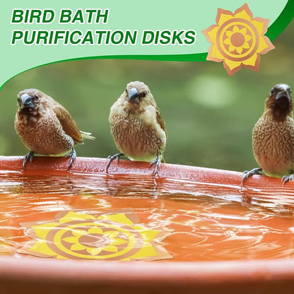Saillong 4 Pack Bird Bath Copper Disk, Reinforced 99.99% Pure Copper Bird Bath - Image 7