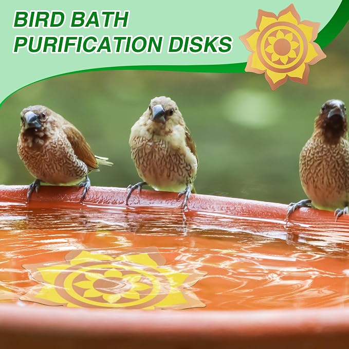 Saillong 2 Pack Bird Bath Copper Disk, Reinforced 99.99% Pure Copper Bird Bath - Image 7