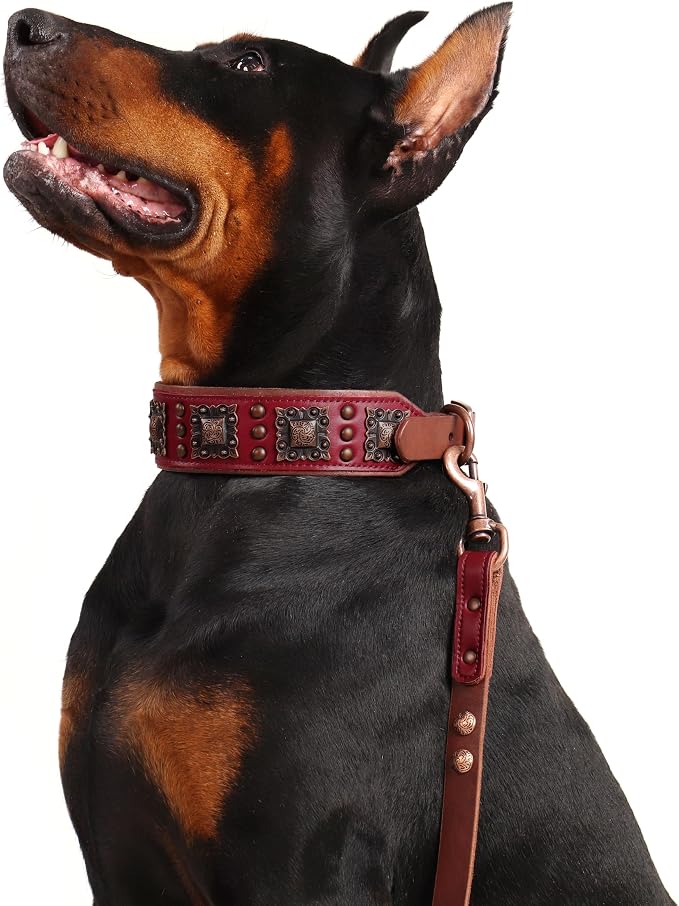 PET ARTIST Genuine Leather Dog Collar - Image 7