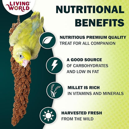 Living World – Millet Spray for Birds, 7 Oz – Premium Treat for Budgies - Image 4