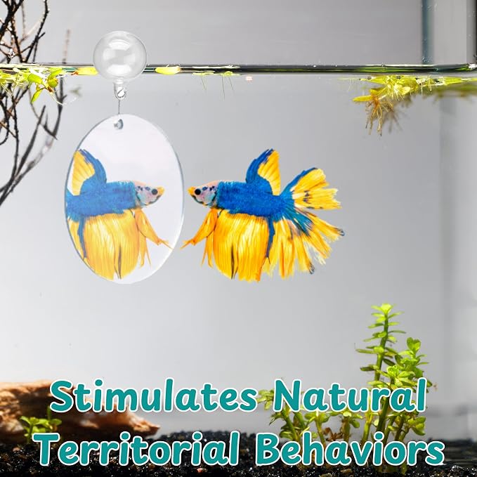 2 pcs Betta Ring Enrichment Toys - Image 4