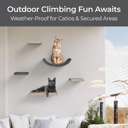 Wall Mounted Cat Shelves by Pryde Pets - Image 9