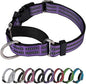 Martingale Dog Collar, Adjustable Nylon Reflective Collar by JOYEEIIOO