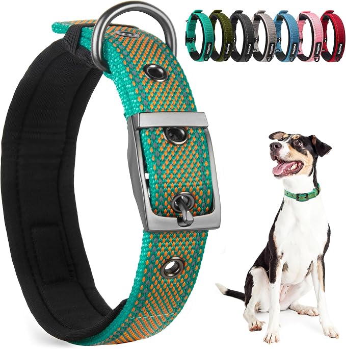 PetiFine Dog Collars for Small Dogs, Neoprene Padded and Adjustable, Reflective by PetiFine