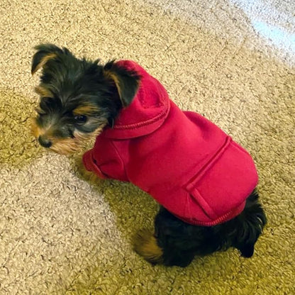 Jecikelon Winter Dog Hoodie Sweatshirts - Image 5