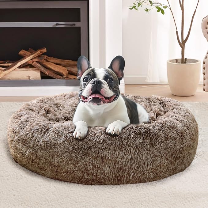 JOLLYVOGUE Calming Small Dog & Cat Bed by JOLLYVOGUE