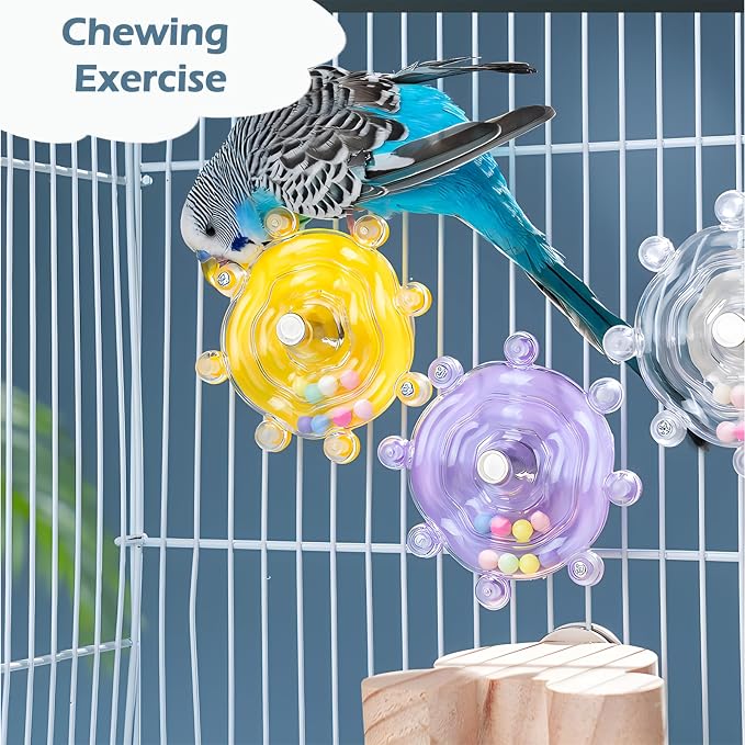 Bird Toys for Parakeets, Colorful Parakeet Toys Wheel, Interactive Spinner - Image 4