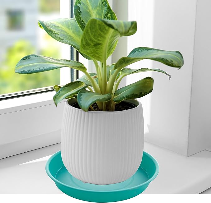 2 Pack of Bird Bath Bowl 12", 1.6" Depth, 10 12 inch Birdbath Bowls Dish Only - Image 4