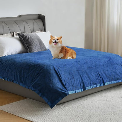Softan Waterproof Blanket Cover 90"x90" by softan