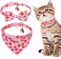 EXPAWLORER Cute Cat Collar Breakaway by EXPAWLORER