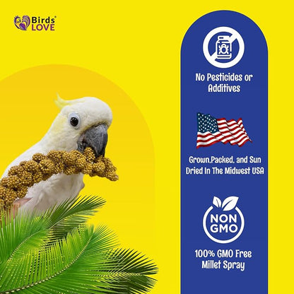 Birds LOVE Economy Special Spray Millet | GMO-Free - Image 5