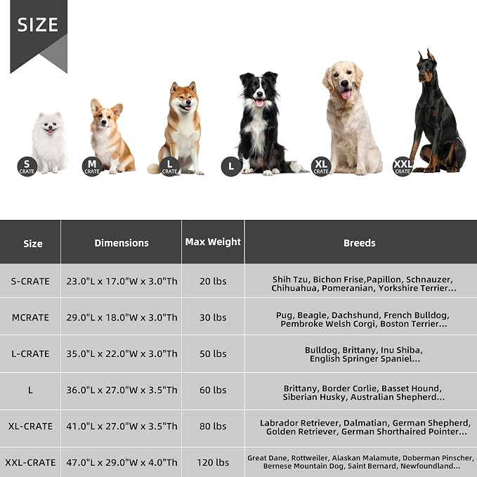 Small Dog Bed Sized Dogs, Orthopedic Flannel Pet Bed - Image 7