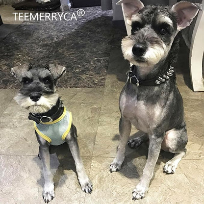 TEEMERRYCA Adjustable Microfiber Leather Spiked Studded Dog Collars - Image 6
