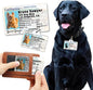 PawFurEver Personalized Dog Driver License ID Tag by PawFurEver