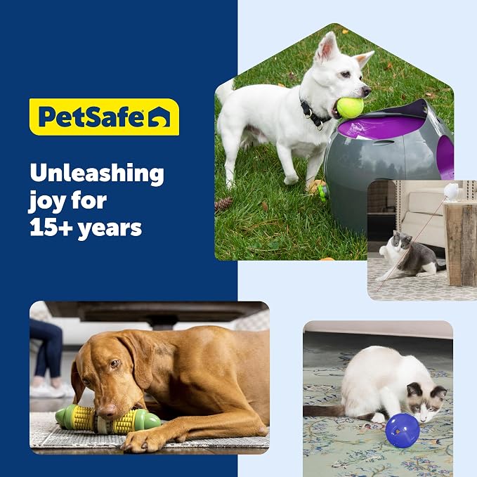 PetSafe SlimCat Interactive Feeder - Image 7
