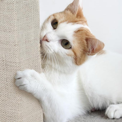 Cat Scratching Post with Carpeted Base - Image 4