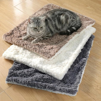 Cat Blanket for Indoor Cats - Image 5