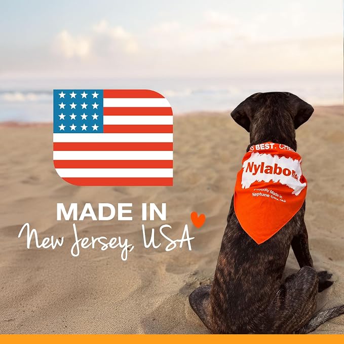 Nylabone Power Chew Antler Alternative Nylon Chew Toy - Image 11