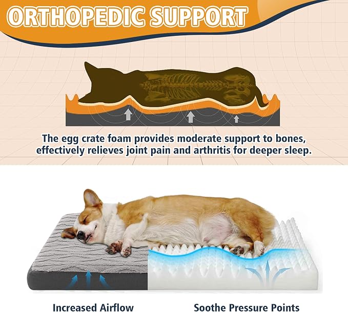 Orthopedic Dog Bed - Image 3