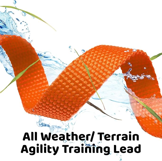Long Dog Puppy Obedience Recall Training Agility Lead, Leash - Image 4