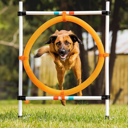 Midlee Dog Agility Hoop Jump - Image 8