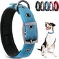 PetiFine Dog Collars for Medium Dogs, Neoprene Padded and Adjustable, by PetiFine