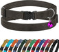 Breakaway Cat Collar Leather by BUDKAS