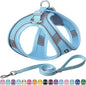 AIITLE Small Harness for Puppy by AIITLE-FORPETSBETTERLIFE