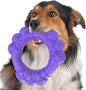 Indestructible Dog Chew Toys for Aggressive Chewers, Super Chewer Toys for by DAOZIJI