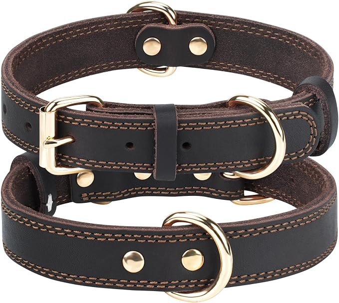Joytale Genuine Leather Dog Collar by Joytale